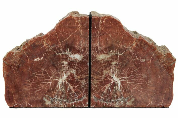 Tall, Arizona Petrified Wood Bookends - Brick Red #222156